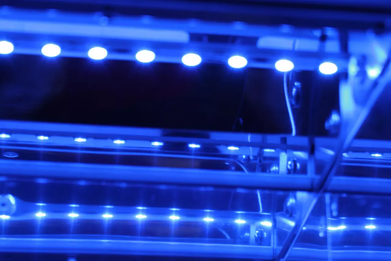 UVC and UVB LEDs for UV drinking water disinfection